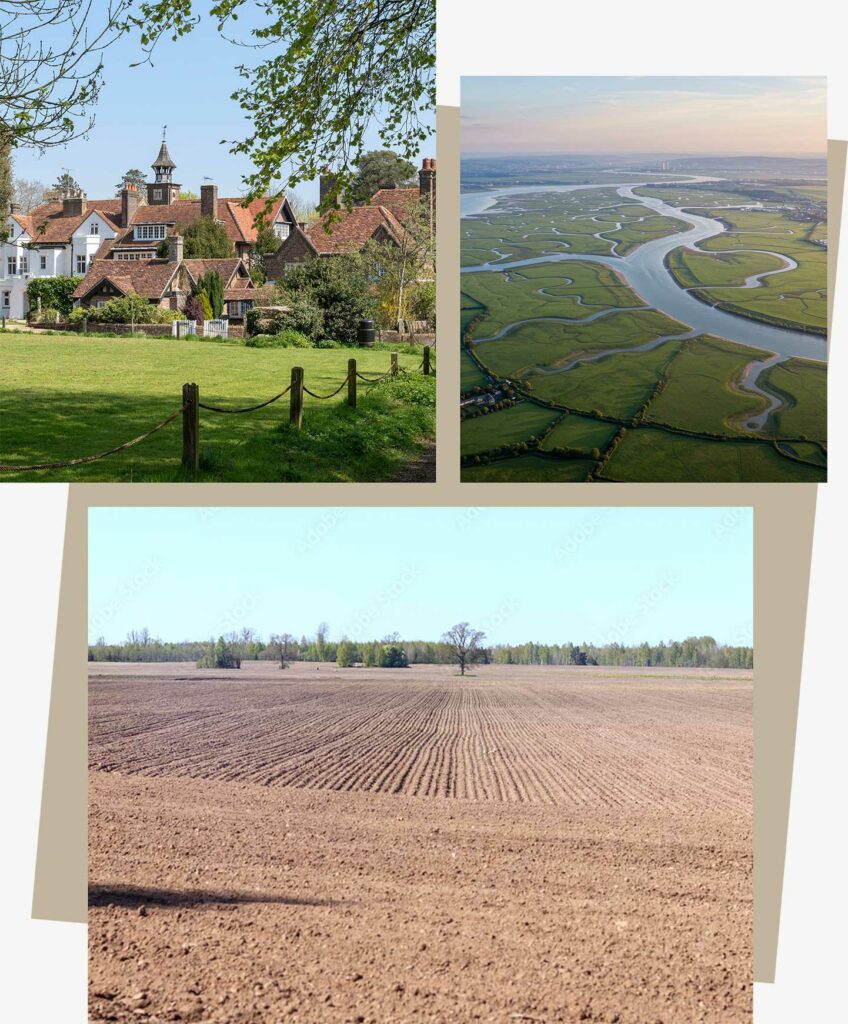 Green Belt and Grey Belt