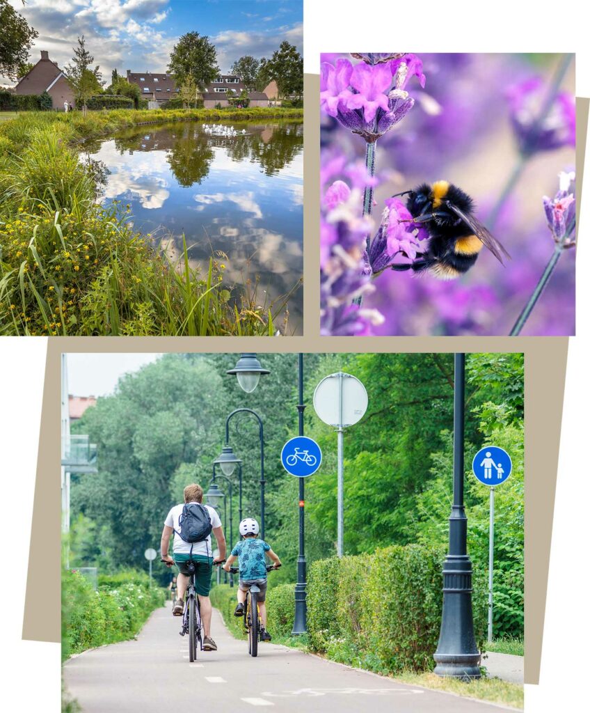 Landscape led approach